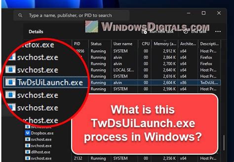 twdsuilaunch|TwDsUiLaunch.exe Windows process